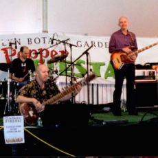 Open Brooklyn Botanic Garden Chile Pepper Fiesta 2002 (Jeff Galusha)